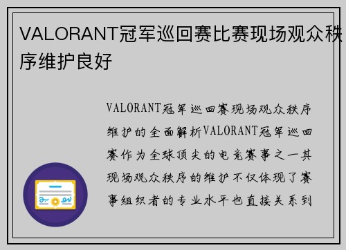 VALORANT冠军巡回赛比赛现场观众秩序维护良好